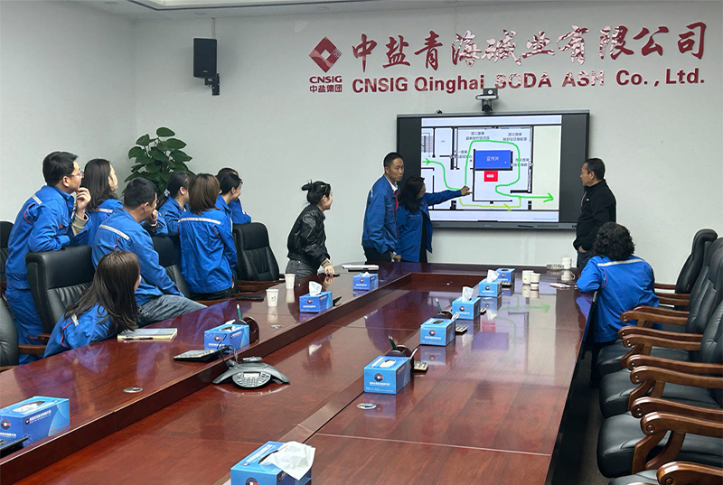2025年5月13日我公司设计总监与中盐青海碱业有限公司专家辅导就企业展厅设计规划计
